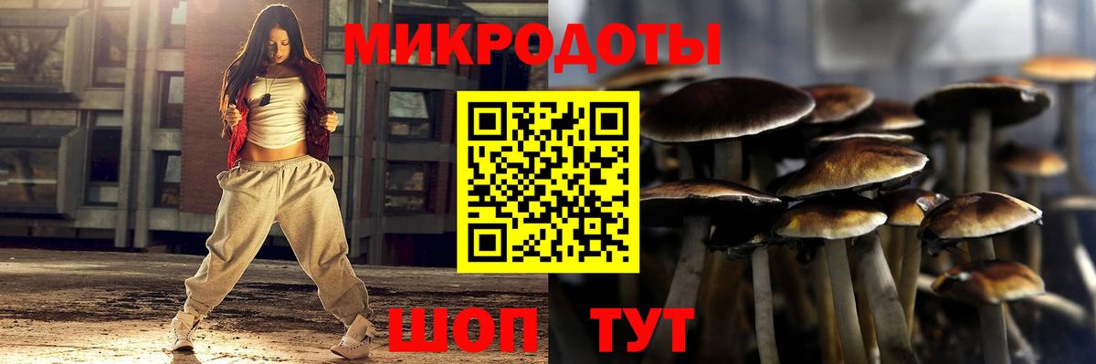 Галлюциногенные грибы ЛСД Сегежа
